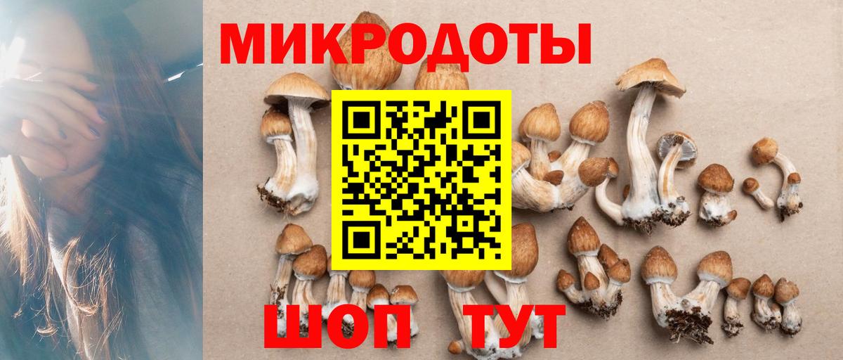 Галлюциногенные грибы Cubensis  Вход с VPN  Краснокаменск  Псилоцибиновые грибы MAGIC MUSHROOMS 